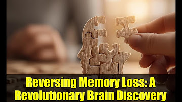 Reversing Memory Loss: A Revolutionary Brain Discovery