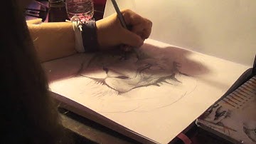 Time Lapse Lion Drawing