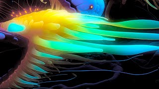 SOFT FOCUS  |  AI Video Art screenshot 5
