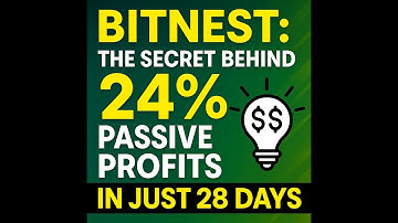Bitnest: The Secret Behind 24% Passive Profits in Just 28 Days