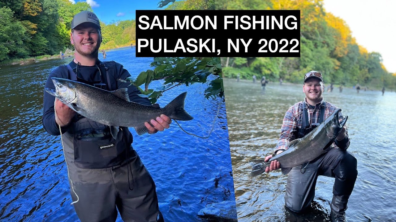 SALMON FISHING 2022 PULASKI, NY SALMON RIVER (**FISH CAUGHT**) 