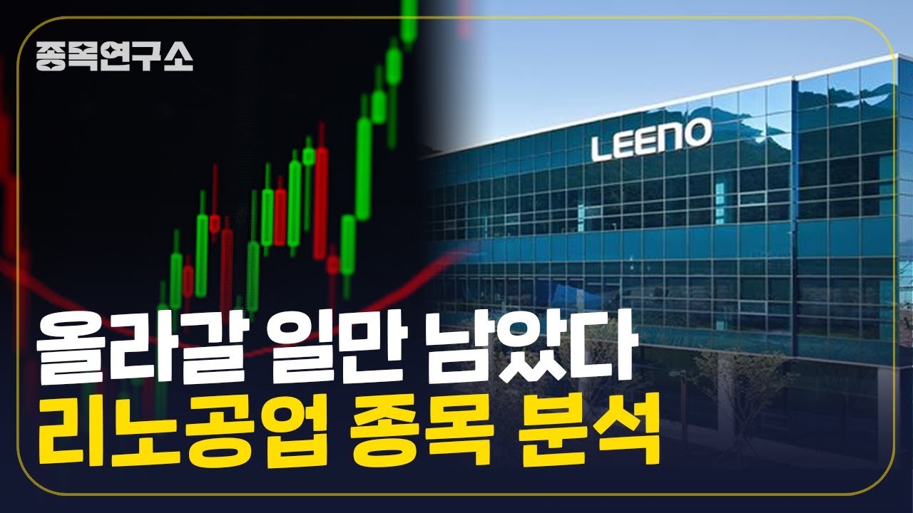 성장통은 끝 이제 올라갈 일만 남았다 리노공업 주가 종목 분석