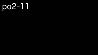 po2-11