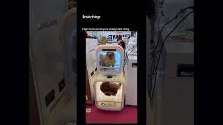 High tech pet dryer doing it’s thing #pets #dryers #shorts