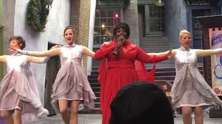 Wizarding World of Harry Potter Christmas Shows - Universal Orlando