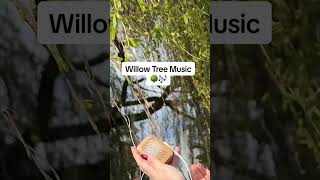 Download Lagu Willow Tree music with a PlantWave plant music device MP3