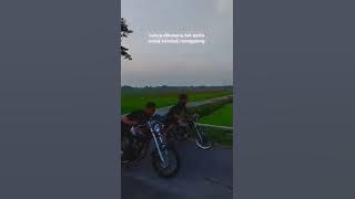 Kumpulan story wa lagu jawa terbaru 2022