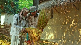 General View Of A Local Community In Bangladesh Instavid