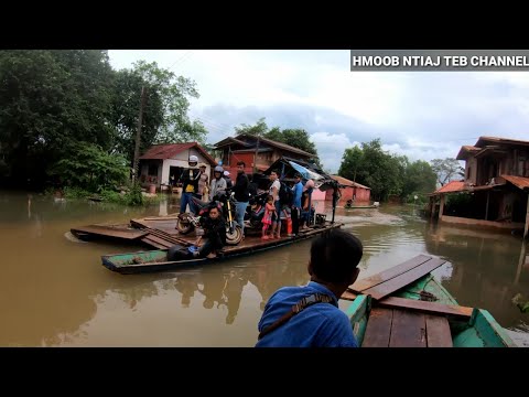 Video: Cov Khoom Noj Zoo Tshaj Plaws Nyob ze ntawm lub khw hauv Washington, DC