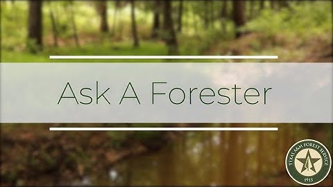 What Are Streamside Management Zones?