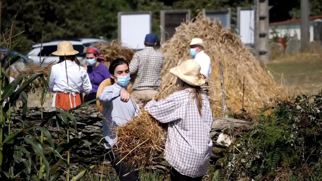 Sega tradicional do centeo Casa do Patrón 2021