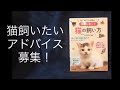 猫飼いたい！オススメ猫教えてください。