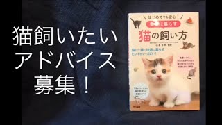 猫飼いたい！オススメ猫教えてください。