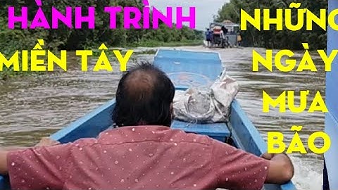 Ký ức miền Tây/ hành Trình Đồng Tháp Mười, những ngày mưa bão/ Bình vlog thôn dã.#5