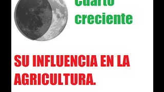 Influence of Moon Phases on Agriculture: Waxing Moon