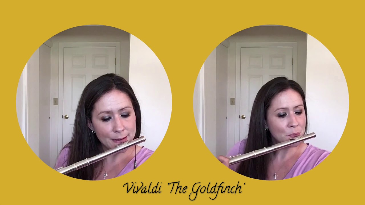 Vivaldi Allegro from Concerto 3 “The Goldfinch” YouTube