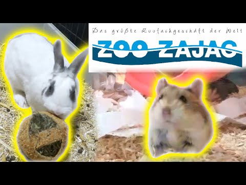Hamster & Kaninchen Shopping 🐹 Einkauf Haustiere 💖 Zoo Zajac FMA🐰