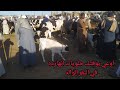 اسعار البقر الوالد من داخل سوق ابوير بمحافظة أسوان اليوم ٢٠٢٢ ٢ ١٠