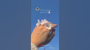 Thumbnail of Alhamdulillah for everything Whatsapp status| Islamic video | #faizaumer9313 #allah #alhamdulillah♥️