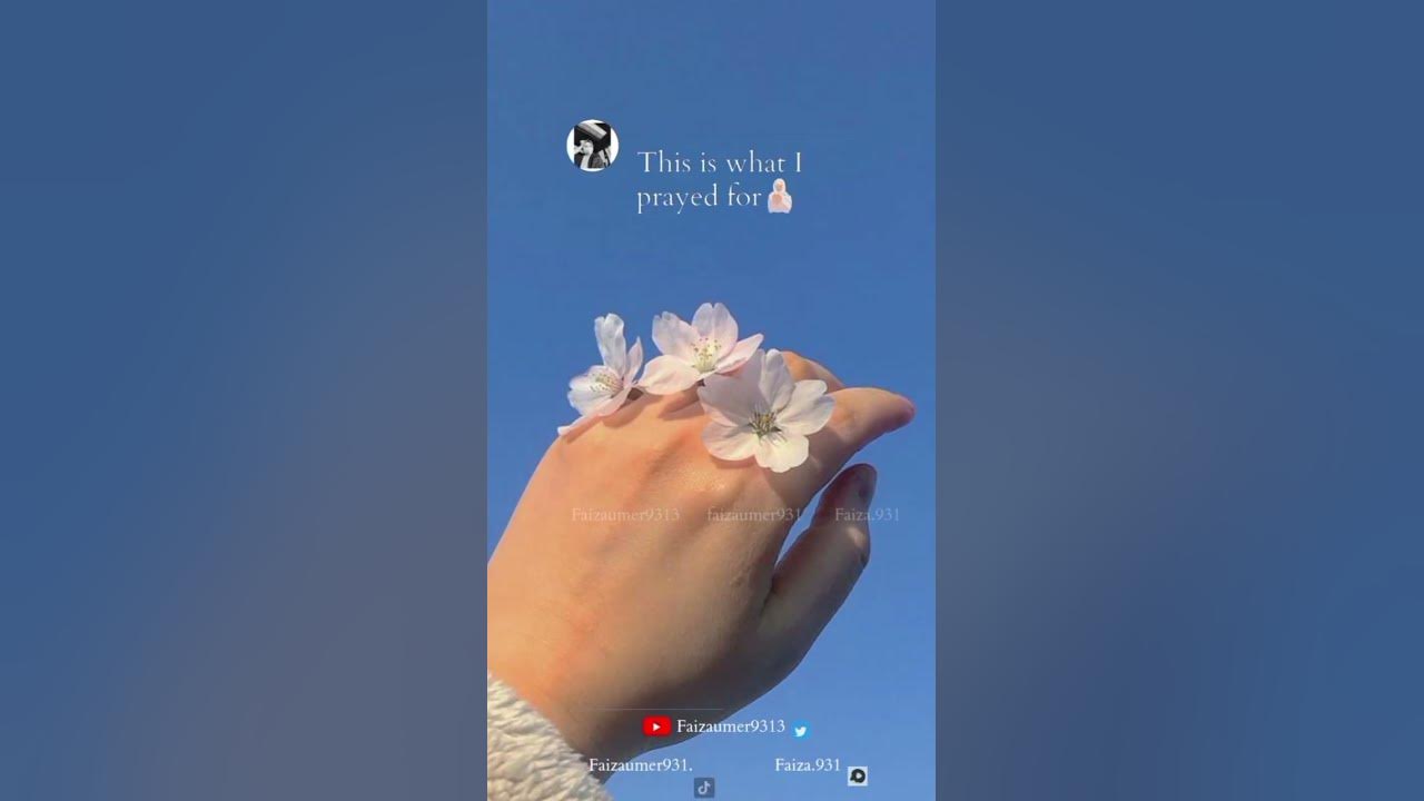 Alhamdulillah for everything Whatsapp status| Islamic video | #faizaumer9313 #allah #alhamdulillah♥️