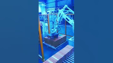 Robotic Palletizing Solutions