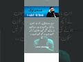 Kashif Ali Shah | Fasaadi Loog | Deep Urdu Quotes | Golden Words | Poetry