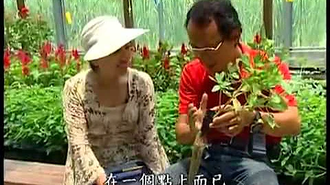 水水世界 新唐人電視台 - 天天要聞