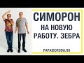 Симорон на работу. Симорон техника Переименование.