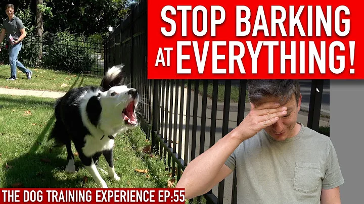 How to Train Your Dog to STOP BARKING at EVERYTHING That Moves!! - DayDayNews