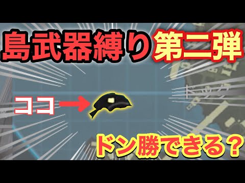 【CoDモバイル】バトロワで島縛り第二弾やってみたw少ない武器でドン勝できる⁉︎【CoD Mobile】天ぱくん