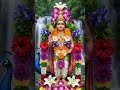 #muruga🦚🐓🌺🌸🌼✨🦚#shorts #viral #trending #reels #status #song #devotionalsongs #shortvideo #viralvideo
