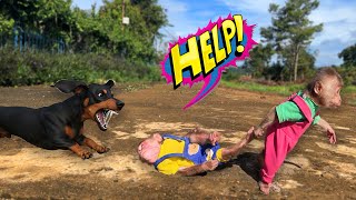 Download Lagu Monkey Bon To worry and searches for Moon after the dog attack! MP3 Download Lagu Monkey Bon To worry and searches for Moon after the dog attack! MP3