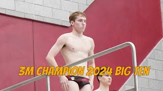 Carson Tyler's Winning Dive Compilation | Big Ten 2024 Men's 3m Springboard Final