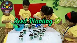 Seed Planting..!! screenshot 5