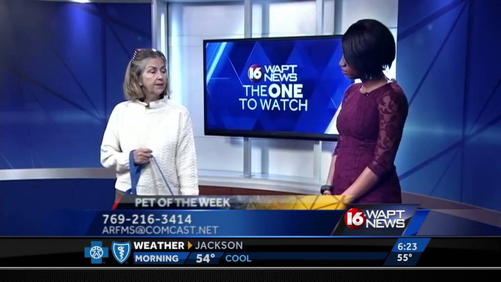 Pet of the Week: Sasha Pearl