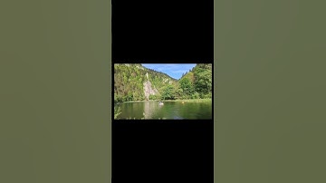 قل هو الرحمن أمنا به وعليه توكلنا #سورة الملك