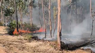 INCÊNDIO EM UL