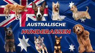 Australische Hunderassen by Hunderassen aus aller Welt 80 views 9 months ago 57 seconds