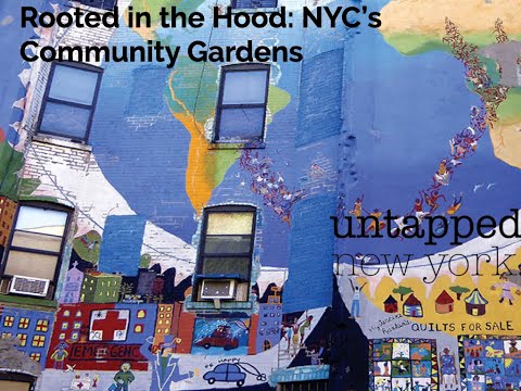 Rooted in the Hood: Stories of NYC's Communities Gardens
