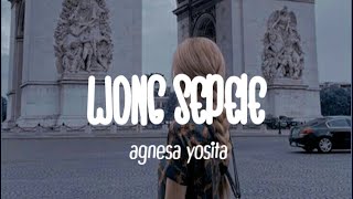WONG SEPELE - NDARBOY GENK COVER BY AGNESA YOSITA [ LIRIK ] 🎶