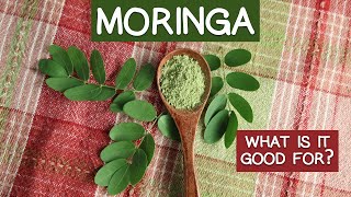 Miraculous Moringa Superfood  List of Key Attributes