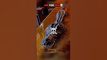 Wood crocodile🥶🐊🔥#sigma #sigmamale #sigmarules #trollfaceedit #aura #disaster #ytshorts