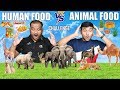 ANIMAL FOOD VS HUMAN FOOD EATING CHALLENGE | Food Eating Competition | Food Challenge