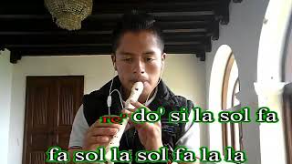 Dread Mar I - Tu Sin Mi (FLAUTA COVER CON NOTAS)