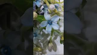 #цветы #флористика #растения #букет