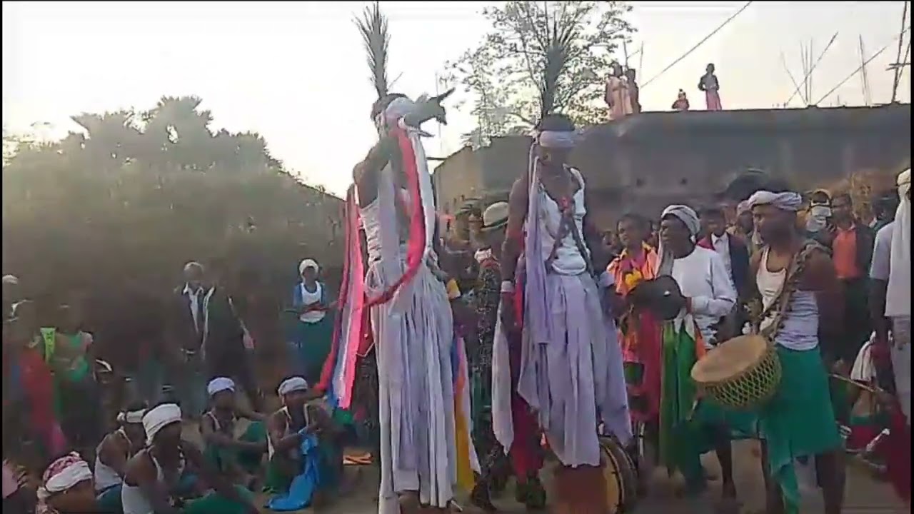 Karam don manda Riya//Rampur ,Tello, Borio//2024 santhali arichali// karam don video 🖐️🤚