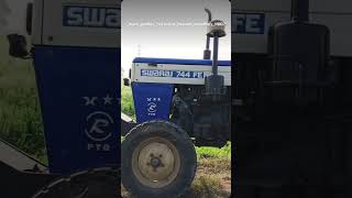 Black Panther Life Panther