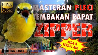 Masteran Pleci Tembakan Zipper Panjang Mudah Masuk Dengan Terapi Air Dan Jeda