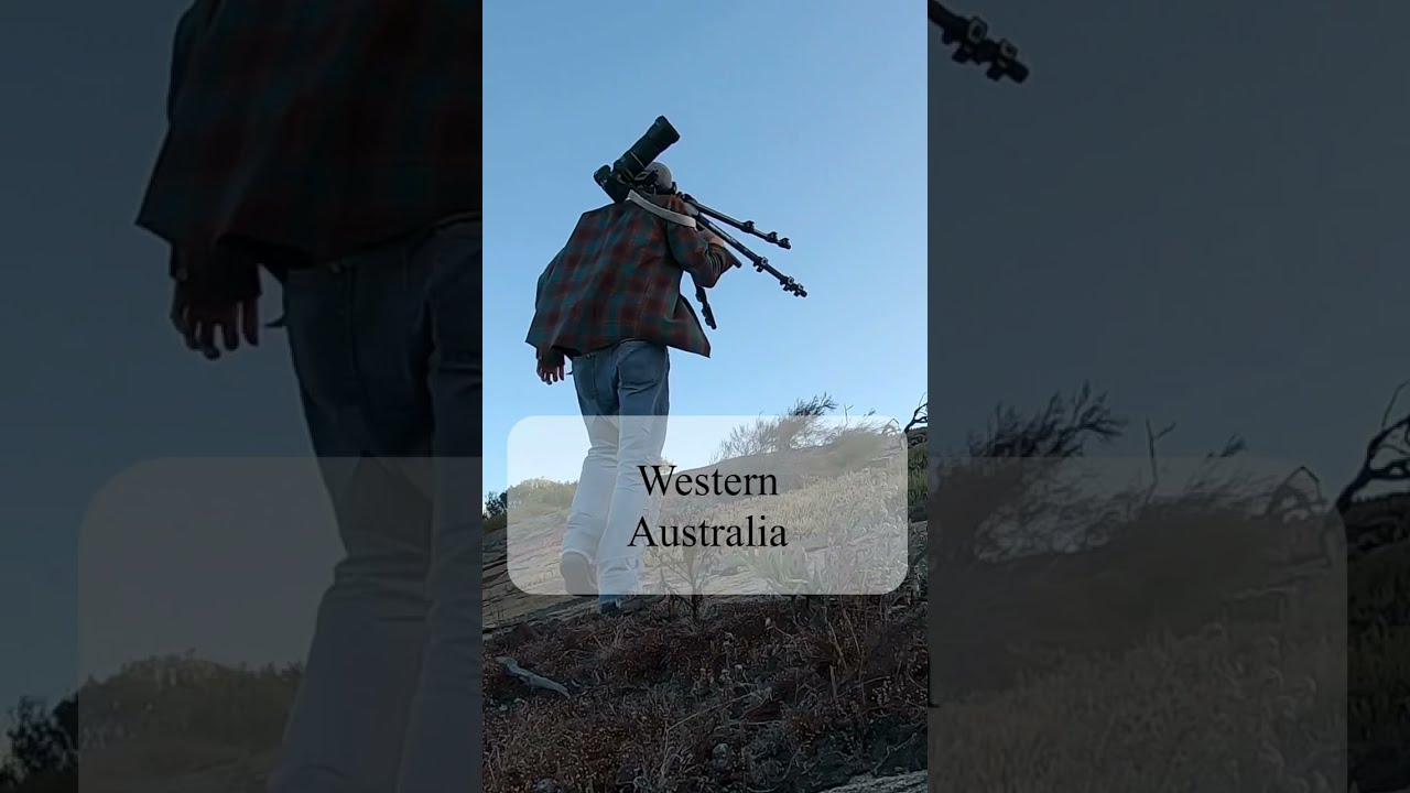 Photographing wallabies in remote Western Australia.