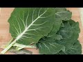 10 Types Of Kale And How To Use Them 10 Types Of Kale And How To Use Them
